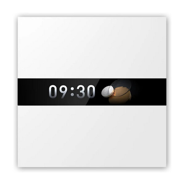 Aqara Display Switch V1