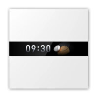 Aqara Display Switch V1