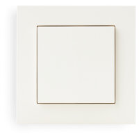 Eve Light Switch