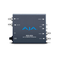 AJA ROI-SDI