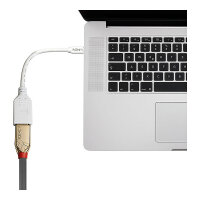 LINDY Mini-DisplayPort an Displayport Adapterkabel M/F 0.15m