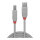 LINDY USB 2.0 Kabel Typ A/B Anthra Line M/M 2m
