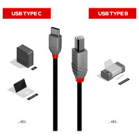 LINDY 3m USB 2.0 Typ C an B Kabel, Anthra Line