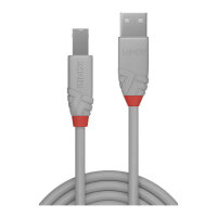 LINDY USB 2.0 Kabel Typ A/B Anthra Line M/M 0.5m