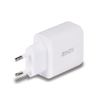 LINDY USB Ladegerät Typ A+C GaN Charger 65W, weiß