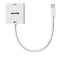 LINDY Mini DisplayPort auf DVI Konverter