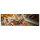 LEGO 71848 Ninjago Der Tempel-Flugsegler