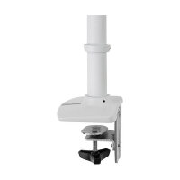ERGOTRON LX LCD Arm fuer Tischmontage weiss bis 81cm 32Zoll Display anheben bis 33cm 2,3-11,3kg belastbar VESA 75x75 100x100mm