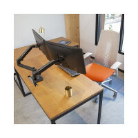 Ergotron LX Dual Side-by-Side Arm - Befestigungskit (Spannbefestigung für Tisch, Tischplattenbohrung, Stange, 2 Gelenkarme, T-Halterung)