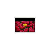 Optoma Motorleinwand 244x167 16:9 (DE-9106EGA)