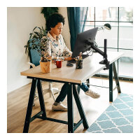 Ergotron NX Monitor Arm (schwarz (matt))