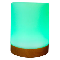 RealPower Ambiente Light 200,RGB mit Fernbedienung
