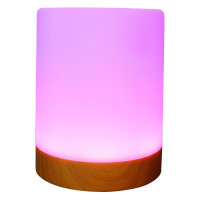 RealPower Ambiente Light 200,RGB mit Fernbedienung