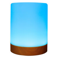 RealPower Ambiente Light 200,RGB mit Fernbedienung