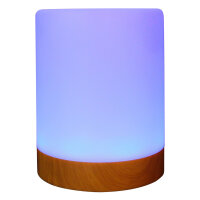 RealPower Ambiente Light 200,RGB mit Fernbedienung
