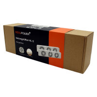 REALPOWER Heizungslüfter HL-2,2er Set mit 3...