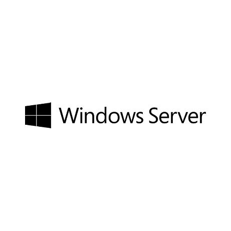 Microsoft WINSVR 2025 STD 16Core ROK