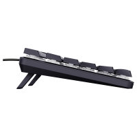 Trust GXT 866 Torix, USB, Mechanischer Switch,LED, Schwarz