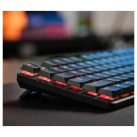 Trust GXT 866 Torix, USB, Mechanischer Switch,LED, Schwarz