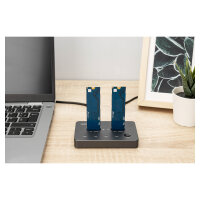 DIGITUS USB M.2 NVMe Klonstation, SSD, USB3.1 Typ-C