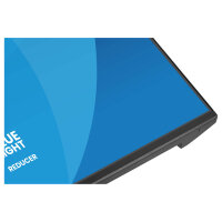 iiyama X2491H-B1