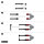 PATCHBOX Patchcatch Solo 24VPE