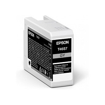 Epson Ink Gray (C13T46S700)