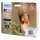 Epson Ink 378 Multipack (C13T37884010)