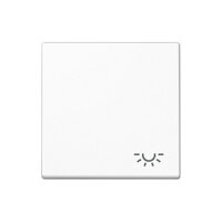 Jung A 590 L WW Wippe mit Licht-Symbol