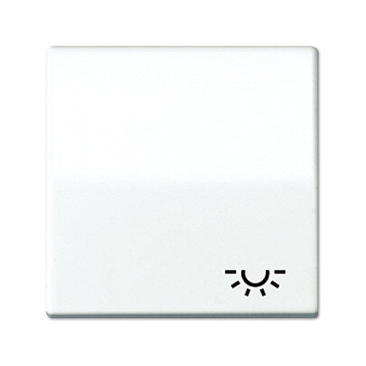 Jung AS 591 L WW Wippe mit Lichtsymbol