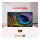 VA1650 LED-Monitor 40.6 cm (16") - 1920x1080 - 60Hz - 7ms - 1x HDMI, 1x USB-C, 1x Audioausgang 3,5mm (VA1650)