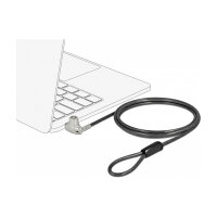 DeLock Notebook Diebstahlsicherung mit Schloss