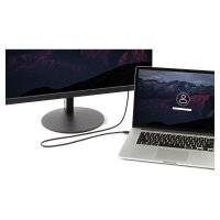 StarTech 10 ft Mini DisplayPort to DisplayPort 1.2 Adapter Cable M/M - DisplayPort 4k