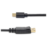 StarTech 10 ft Mini DisplayPort to DisplayPort 1.2 Adapter Cable M/M - DisplayPort 4k