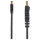 StarTech 10 ft Mini DisplayPort to DisplayPort 1.2 Adapter Cable M/M - DisplayPort 4k