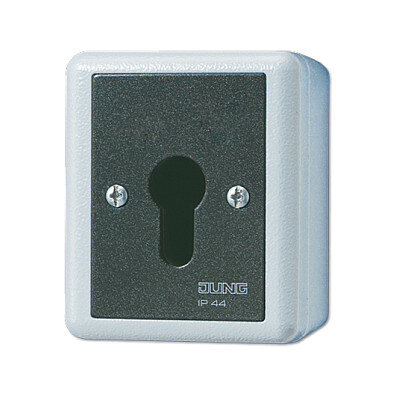 Jung 806.28 G AP/WD-Schlüsselschalter 2p Wechsel-