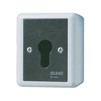 Jung 806.28 G AP/WD-Schlüsselschalter 2p Wechsel-