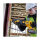 DEWALT Flexvolt Akku-Saebelsaege. 54V. Basisversion