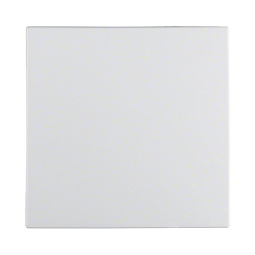 Berker 1620 19 09 Wippe PWS S.1/B.1/B.7