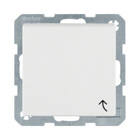 Berker 4751 19 09 UP-Steckdose PWS S.1 mit KLappdeckel