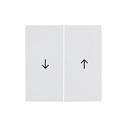 Berker 16258989 Wippen mit Symbol Pfeil pws