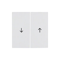 Berker 16258989 Wippen mit Symbol Pfeil pws