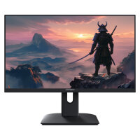 JapanNext FHD Gaming Monitor 60,452cm (23,8")