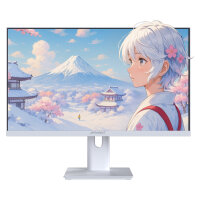 JapanNext FHD Gaming Monitor 60,45cm (23,8")