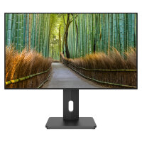 JapanNext WQHD Monitor 68,6cm (27")