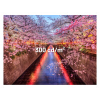 JapanNext FHD Gaming Monitor 60,45cm (23,8")