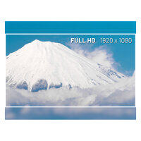 JapanNext FHD Gaming Monitor 60,45cm (23,8")
