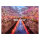 JapanNext FHD Gaming Monitor 60,45cm (23,8")