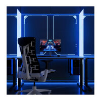 JapanNext FHD Gaming Monitor 62,23cm (24,5")