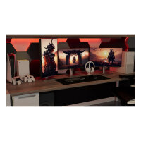 JapanNext FHD Gaming Monitor 62,23cm (24,5")